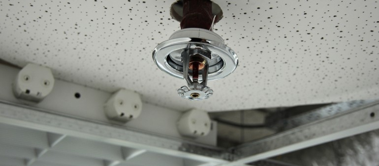 Nam elit agnaendrerit sit amet