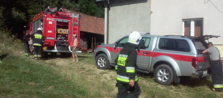 Pożar wysypiska w lesie – 01.08.2017 – Jamnica