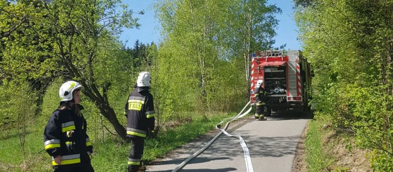 Kamionka Wielka – 22.04.2018 – Pożar lasu.